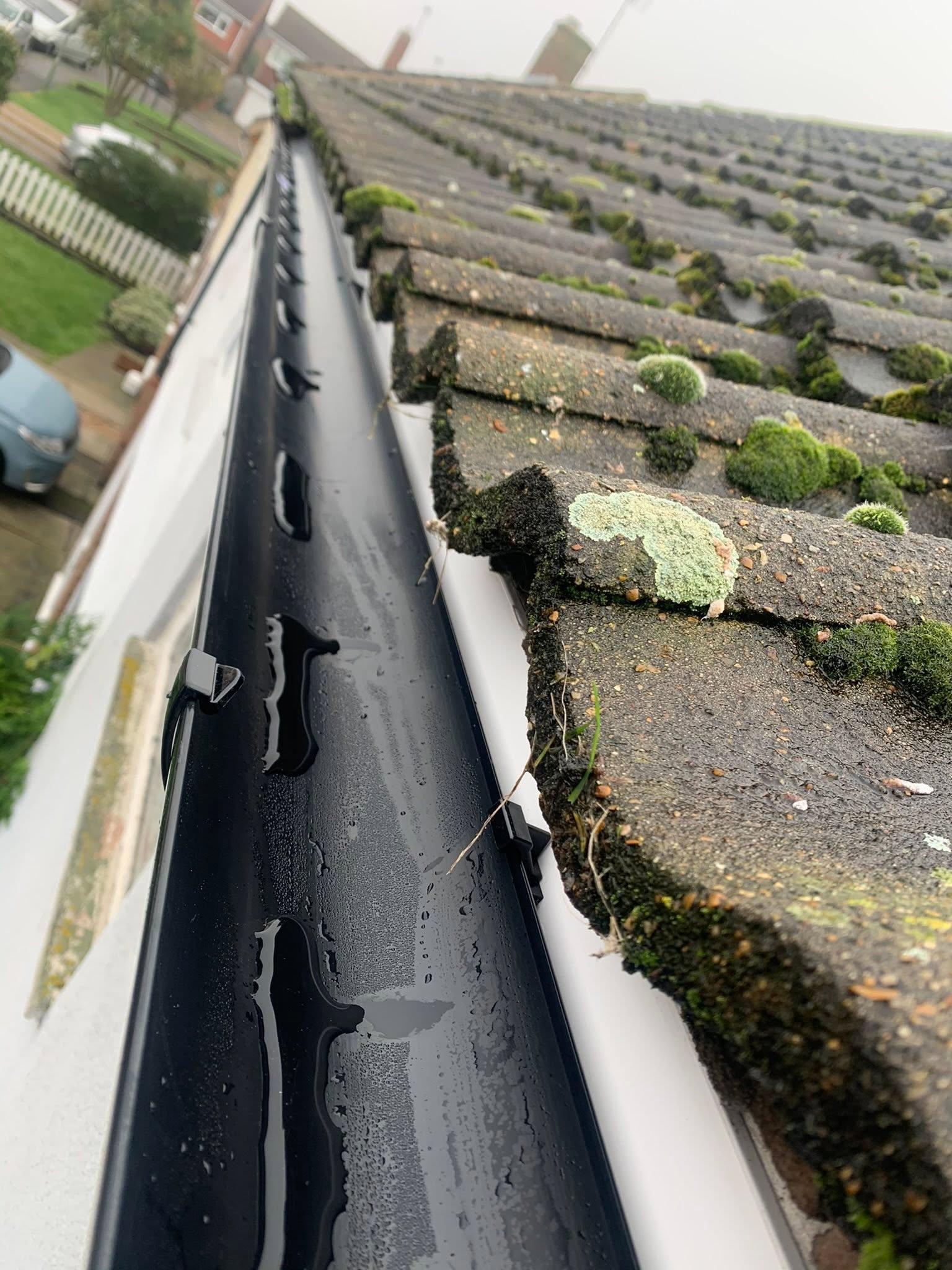 Gutter Cleaning
