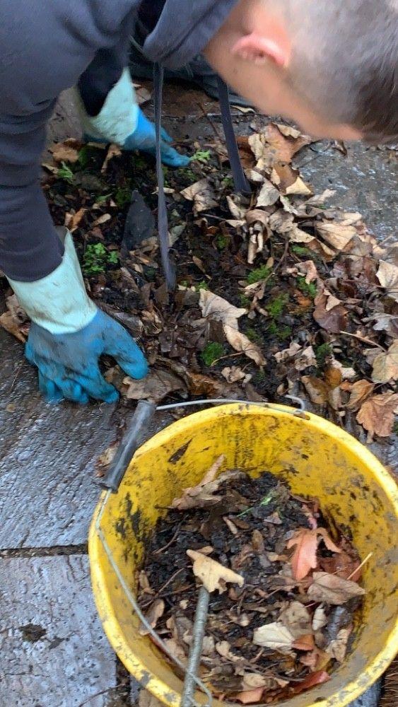 Leaves cleared from a gutter