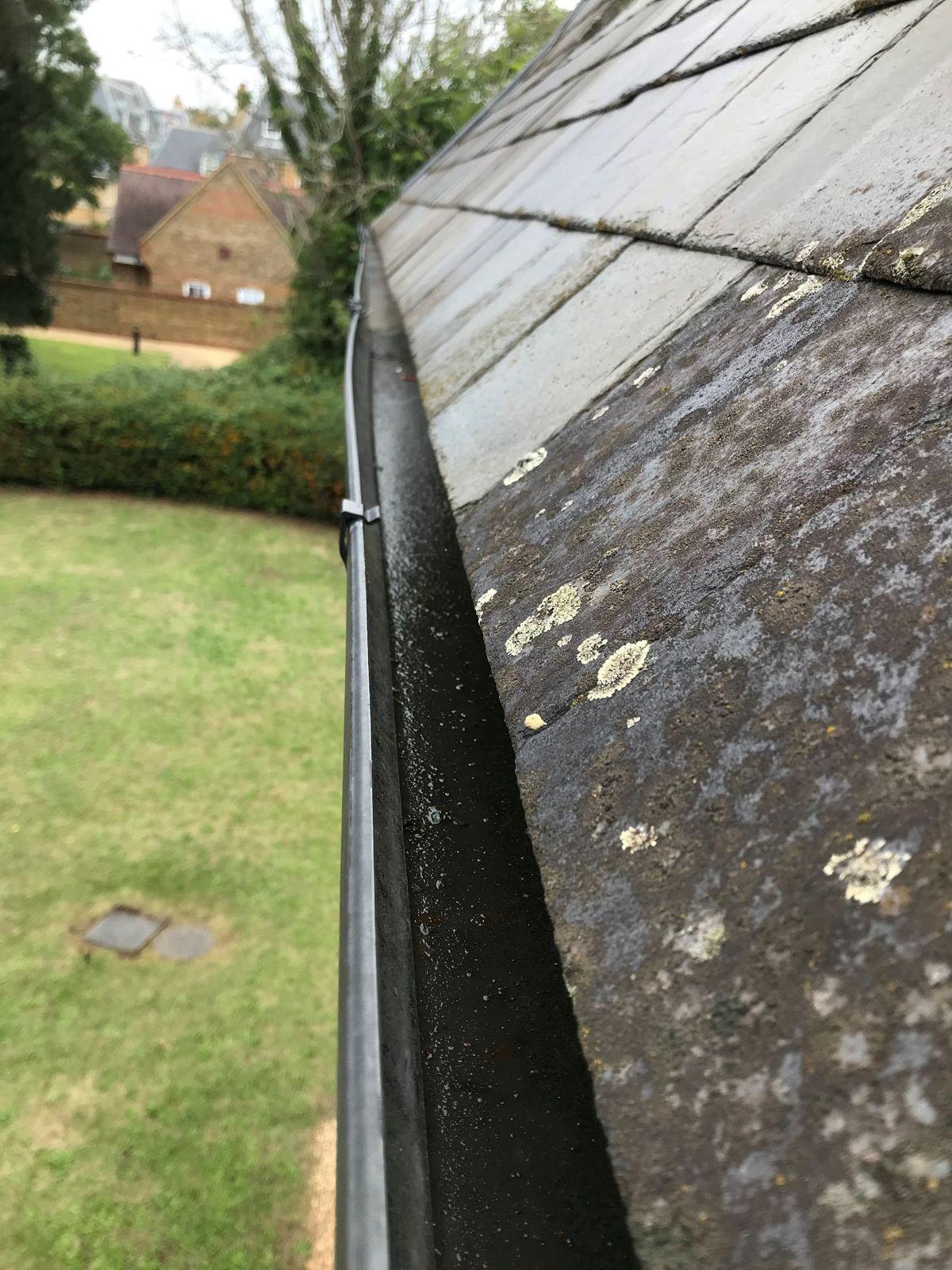 Cleared gutter under a lichen-covered roof