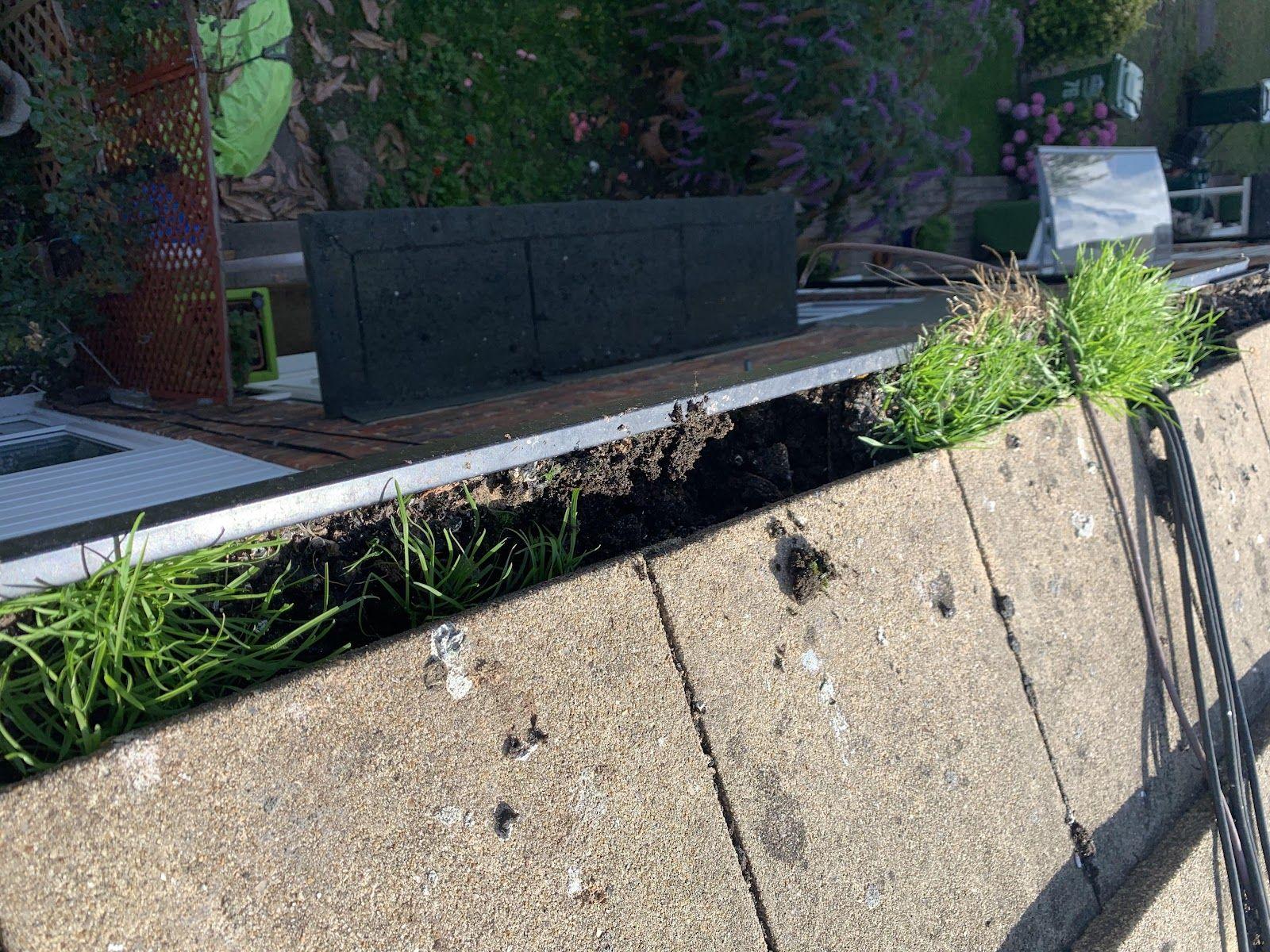 Gutter choked with weeds, before clearing