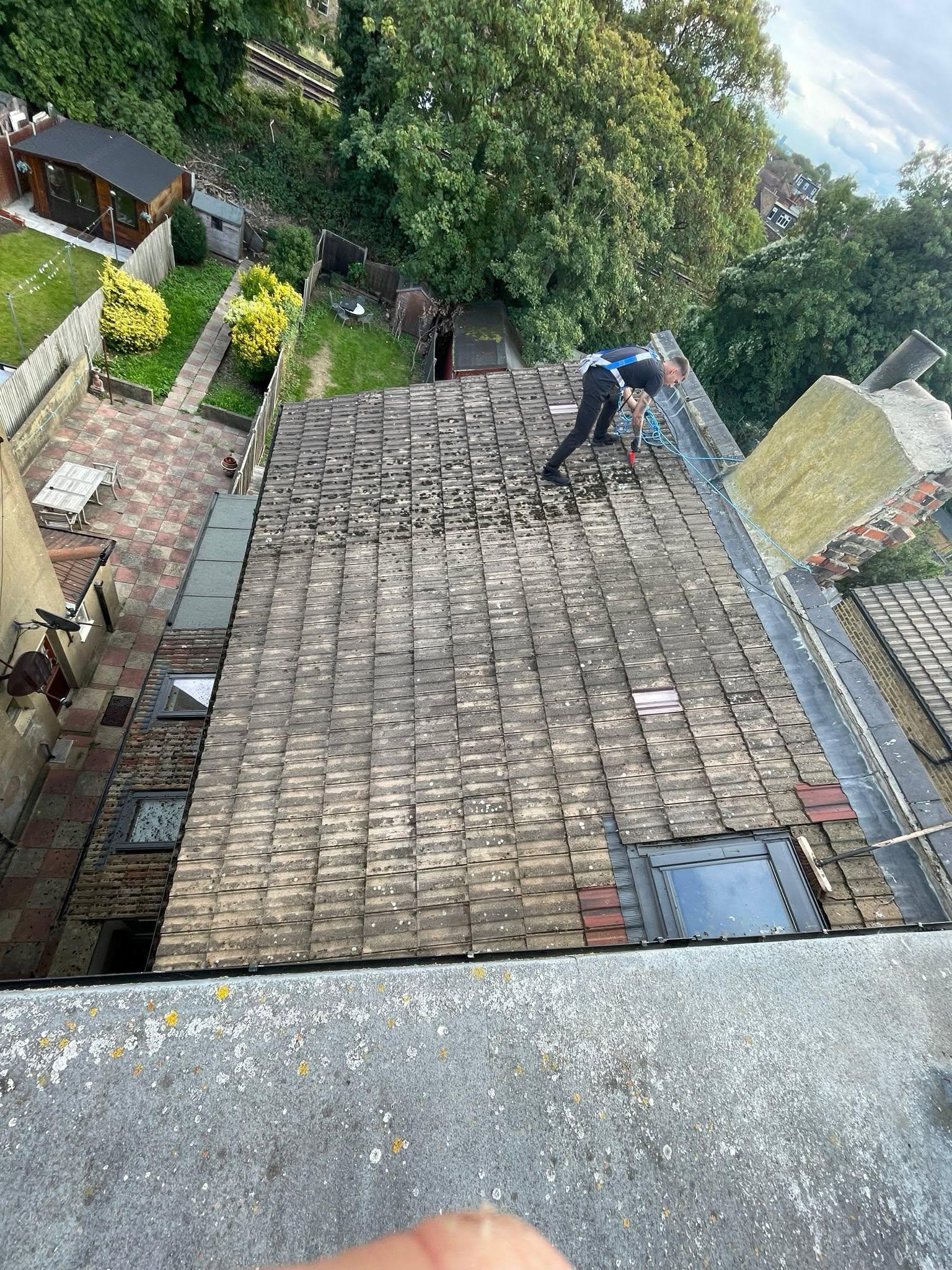 Roof Cleaning