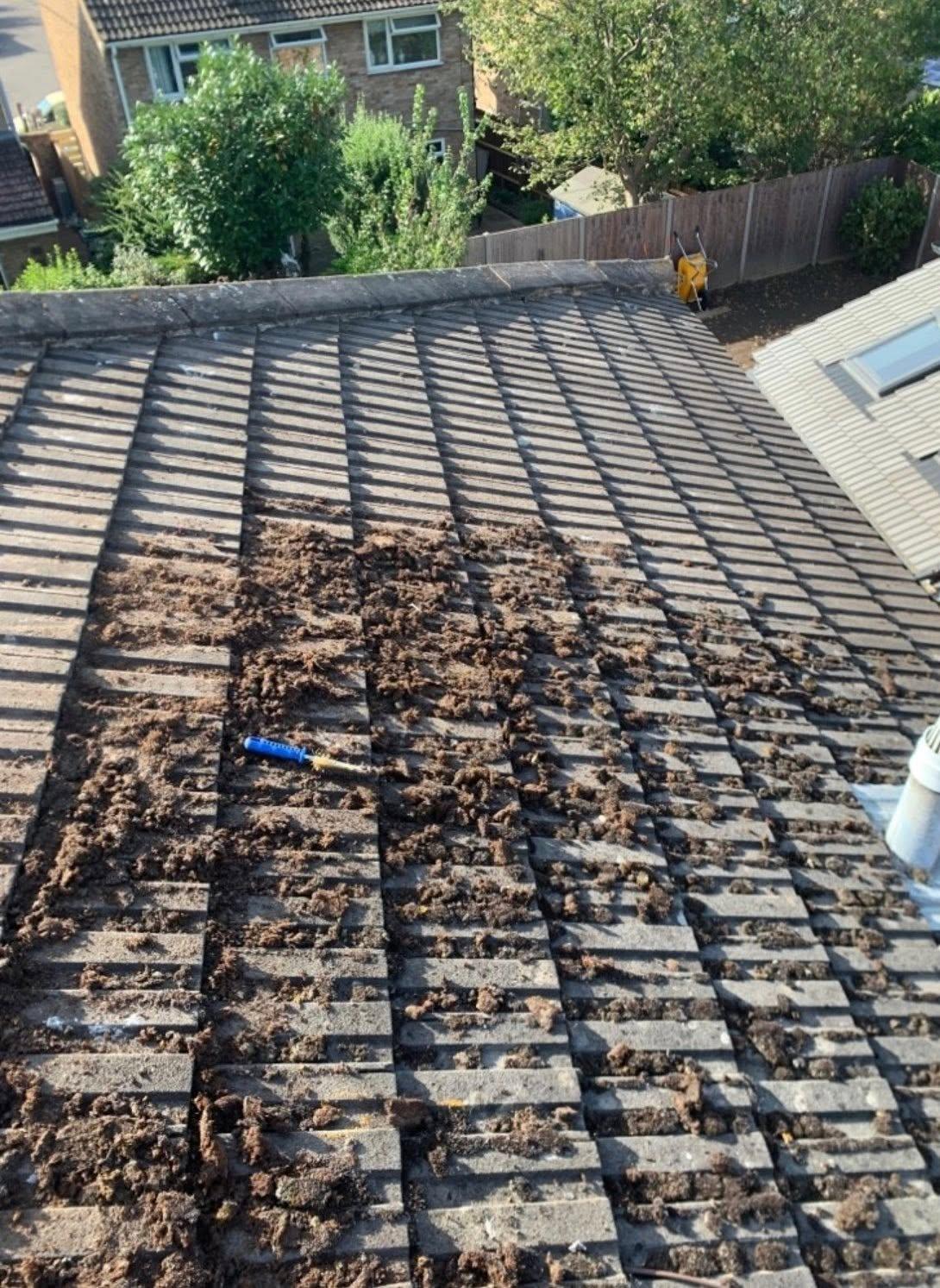 Moss build-up before a roof clean