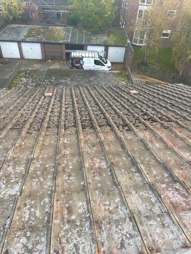 Moss across a concrete-tiled roof