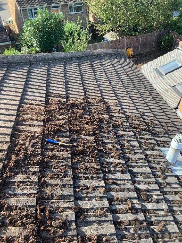 Moss being scraped off roof tiles