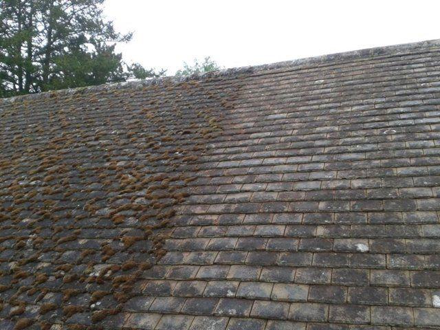 Moss on a slate roof before cleaning