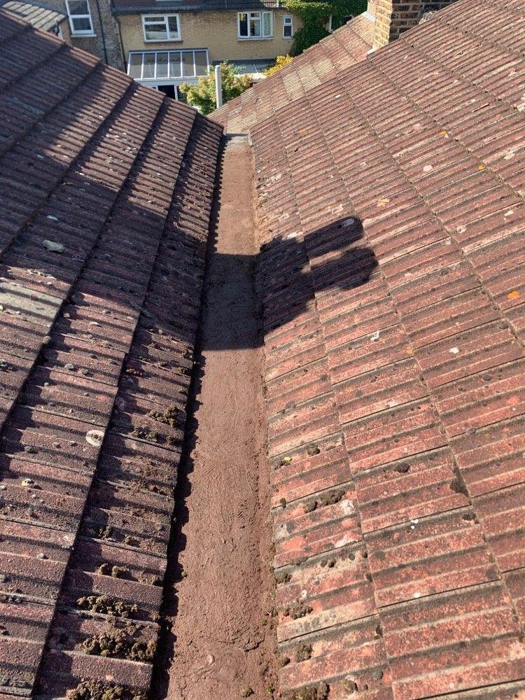 Same valley after cleaning