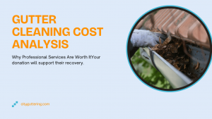 Gutter Cleaning Cost Analysis: Why Professional Services Are Worth It