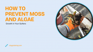 How to Prevent Moss and Algae Growth in Your Gutters
