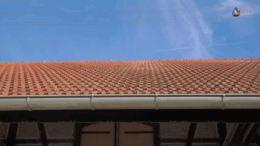 Maintain Gutters