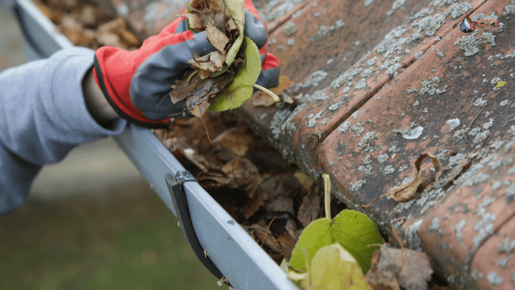 Gutter Cleaning Tools and Equipment