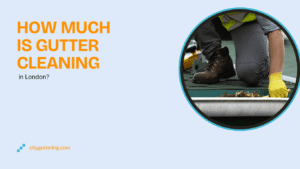 Gutter Cleaning Cost in London