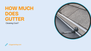 How Much Does Gutter Cleaning Cost?
