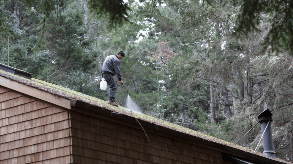 How To Remove Moss From Roof