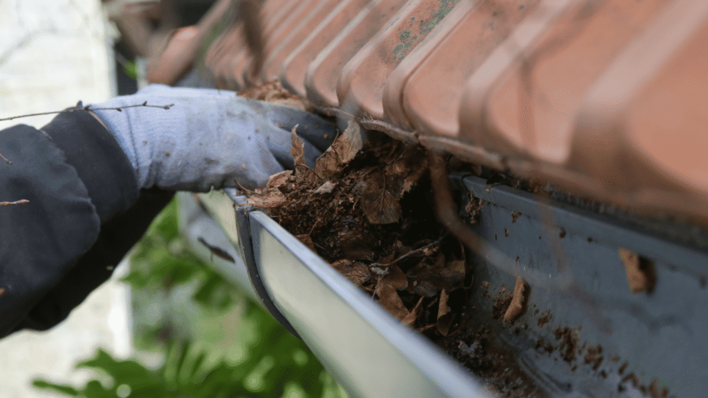 How To Clean Conservatory Roof