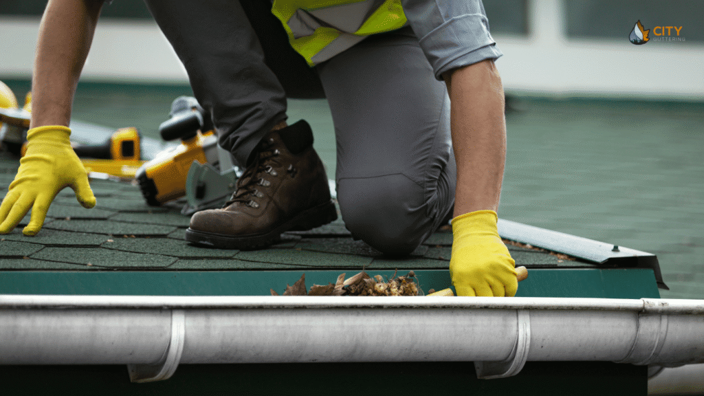 Professional Gutter Cleaning
