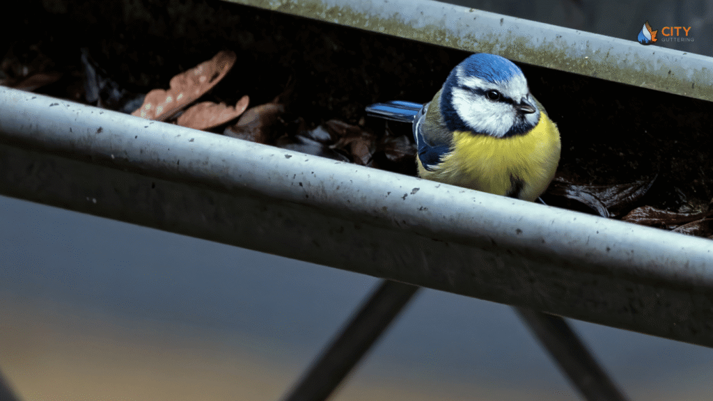 Preventative Measures for Healthy Gutters
