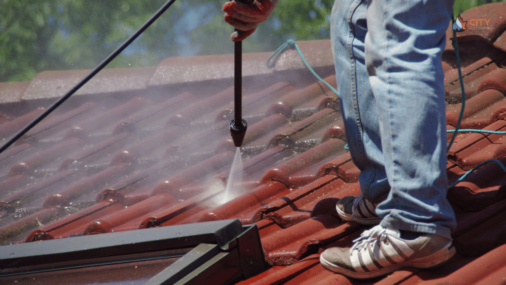 roof cleaning