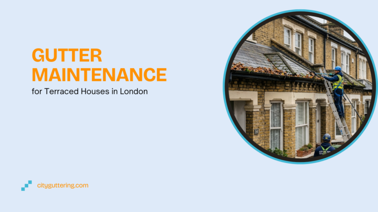 Gutter Maintenance for Terraced Houses in London 