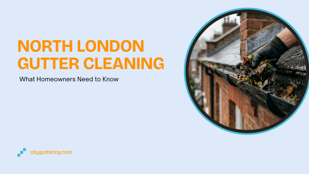 North London Gutter Cleaning: What Homeowners Need to Know