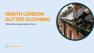North London Gutter Cleaning: What Homeowners Need to Know